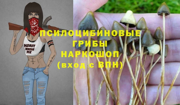 прущая мука Богданович