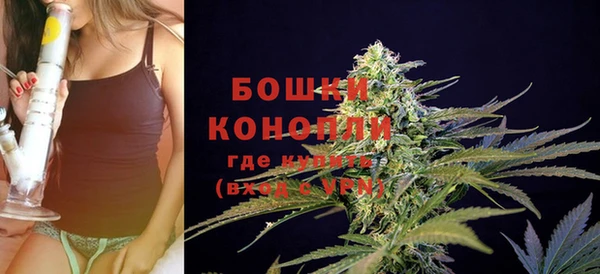 прущая мука Богданович